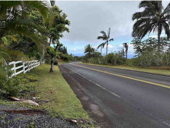 Road frontage in Hawaii