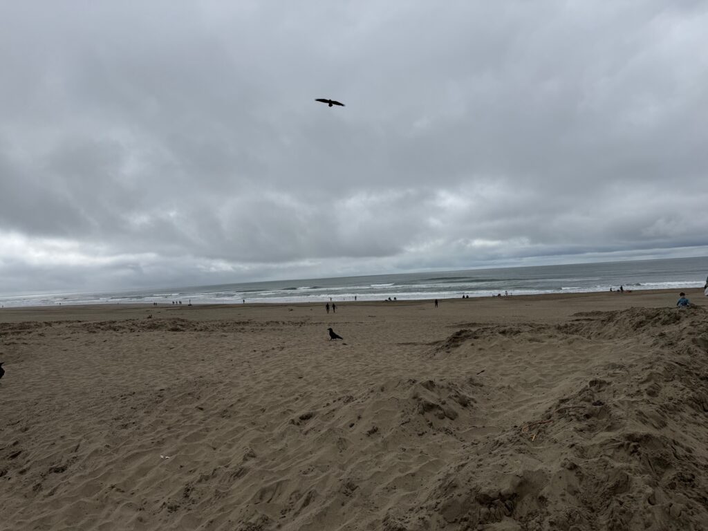 Ocean view from Multifamily Residential Building